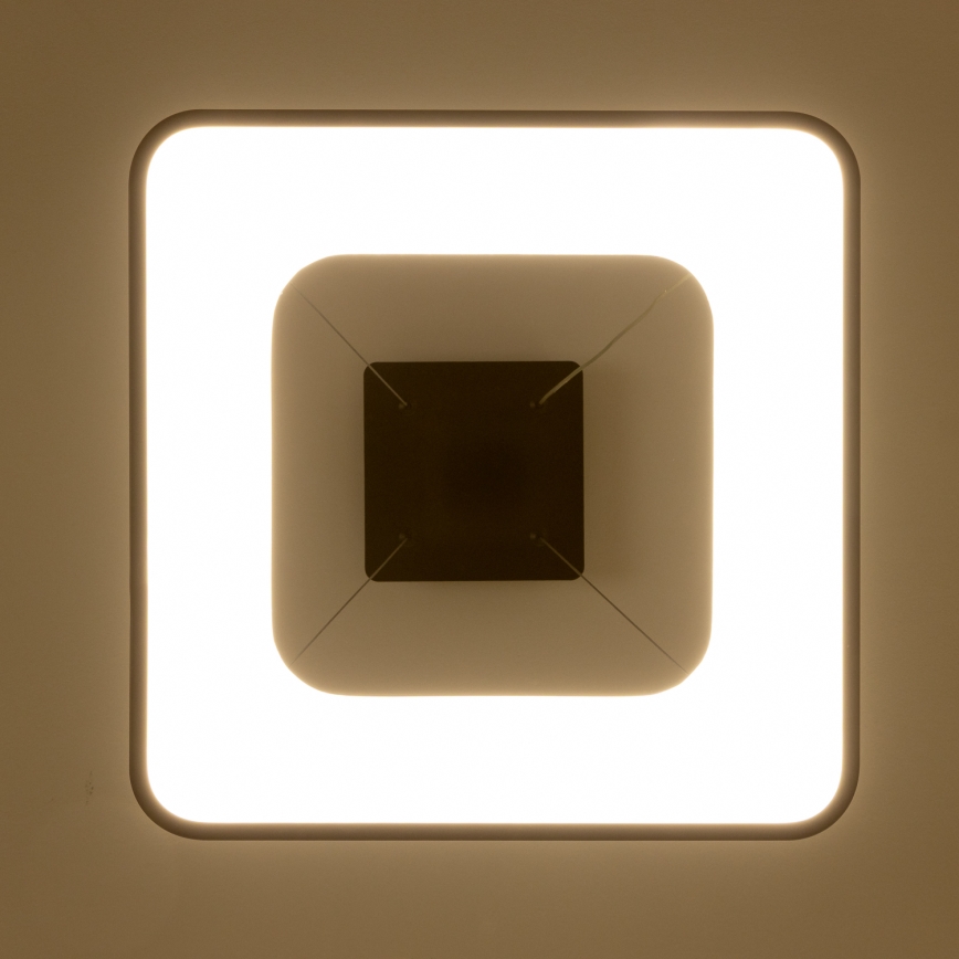 Brilagi - LED zatemnljiv lestenec na kablu FALCON II LED/80W/230V 3000-6500K 40x40 cm črna + daljinski upravljalnik