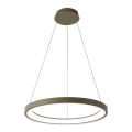 BRILAGI - LED zatemljiv lestenec na kablu FALCON SLIM LED/42W/230V 3000-6500K premer 50 cm bež + daljinski upravljalnik