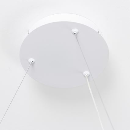 Brilagi - zatemnljiv LED lestenec na kablu FALCON SLIM LED/42W/230V 3000-6500K premera 50 cm bela + daljinski upravljalnik