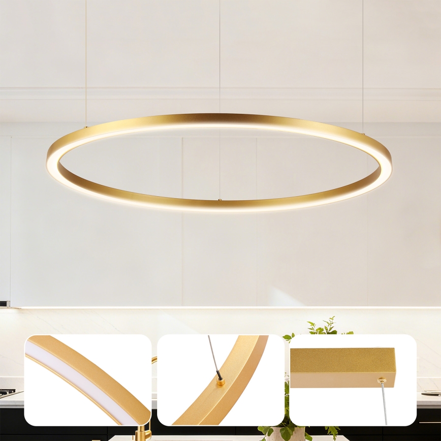 Brilagi - Zatemnljiv lestenec na kablu PORTOFINO LED/60W/230V 3000-6000K, premer 80 cm, zlata + daljinski upravljalnik