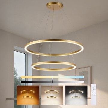 Brilagi - LED zatemljiv lestenec na kablu PORTOFINO LED/98W/230V 3000-6000K premer 80 cm zlata + daljinski upravljalnik