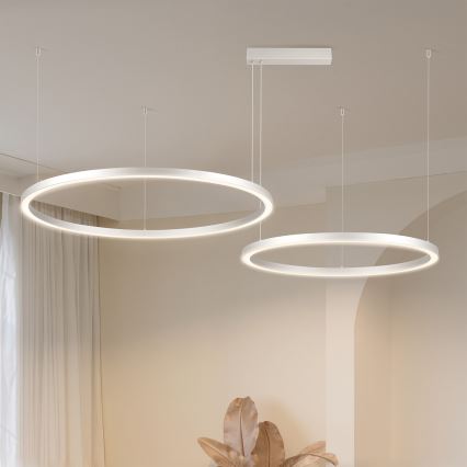 Brilagi - zatemnjevalni LED lestenec na kablu PORTOFINO LED/98W/230V 3000-6000K srebrn + daljinski upravljalnik
