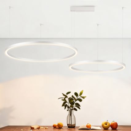 Brilagi - zatemnjevalni LED lestenec na kablu PORTOFINO LED/98W/230V 3000-6000K srebrn + daljinski upravljalnik