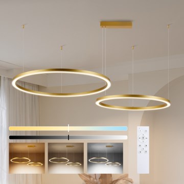 Brilagi - LED zatemljiv lestenec na vrvici PORTOFINO LED/98W/230V 3000-6000K zlata + daljinski upravljalnik