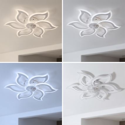 Brilagi - LED zatemnljiv stropni ventilator LED/34W/230V premer 83 cm bela + daljinski upravljalnik