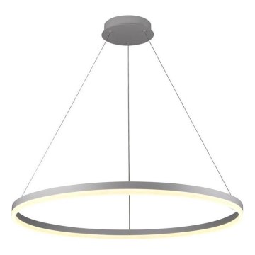 Brilagi - LED zatemljiv viseči lestenec na kablu CIRCLE LED/55W/230V 3000-6500K, premer 80 cm, srebrna + z daljinskim upravljalnikom