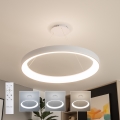 Brilagi - LED zatemljiv viseči lestenec na kablu FALCON II LED/108W/230V 3000-6500K, premer 80 cm, bel, z daljinskim upravljalnikom