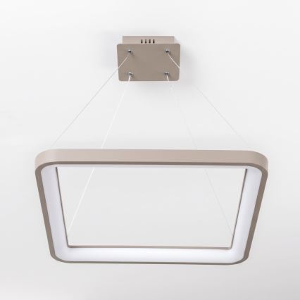 BRILAGI - LED zatemnjevalni lestenec na kablu FALCON SLIM LED/50W/230V 3000-6500K 50x50 cm bež + daljinski upravljalnik