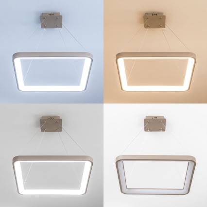 BRILAGI - LED zatemnjevalni lestenec na kablu FALCON SLIM LED/50W/230V 3000-6500K 50x50 cm bež + daljinski upravljalnik