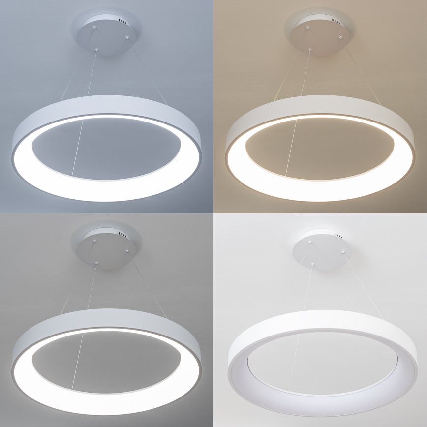 Brilagi - zatemnljiv LED lestenec na kablu FALCON II LED/99W/230V 3000-6500K premer 60 cm bel + daljinski upravljalnik