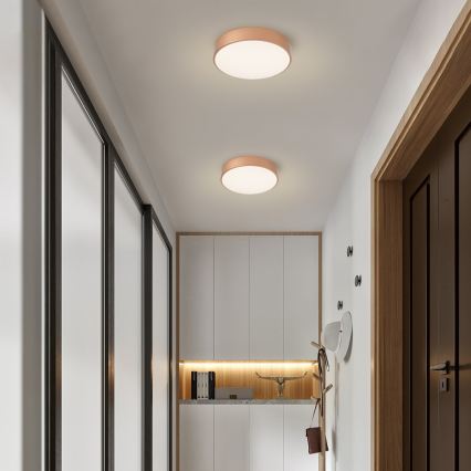 Brilagi - LED stropna svetilka POOL LED/36W/230V 3000-6000K, premera 30 cm, bronasta, z možnostjo zatemnitve + daljinski upravljalnik