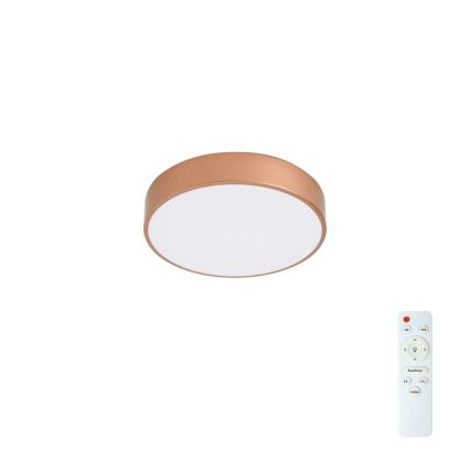 Brilagi - LED stropna svetilka POOL LED/36W/230V 3000-6000K, premera 30 cm, bronasta, z možnostjo zatemnitve + daljinski upravljalnik