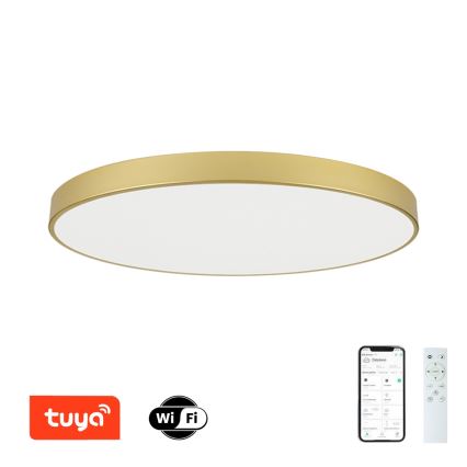 Brilagi - LED zatemnljivo stropno svetilo POOL SMART LED/180W/230V 3000-6000K 120 cm zlato Wi-Fi Tuya + daljinski upravljalnik