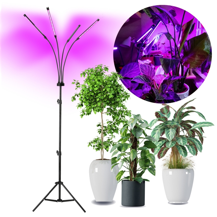 Brilagi - LED Zatemnitvena fleksibilna talna svetilka za gojenje rastlin VITABLOOM 4xLED/7,5W/230V črna