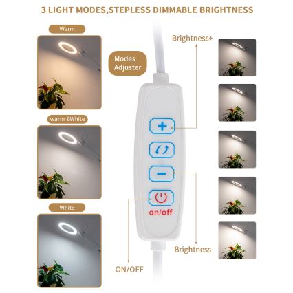 Brilagi - LED Zatemnitvena namizna svetilka s povečevalnim steklom LED/12W/5V 3000/4200/6000K bela