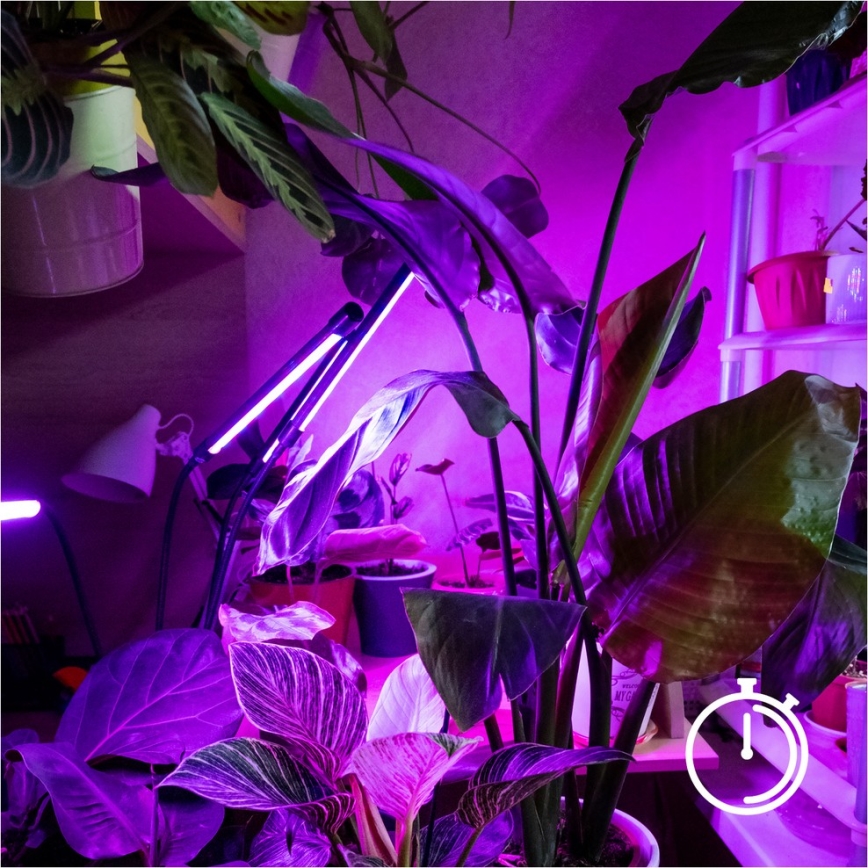 Brilagi - LED Zatemnitvena fleksibilna talna svetilka za gojenje rastlin VITABLOOM 4xLED/7,5W/230V črna