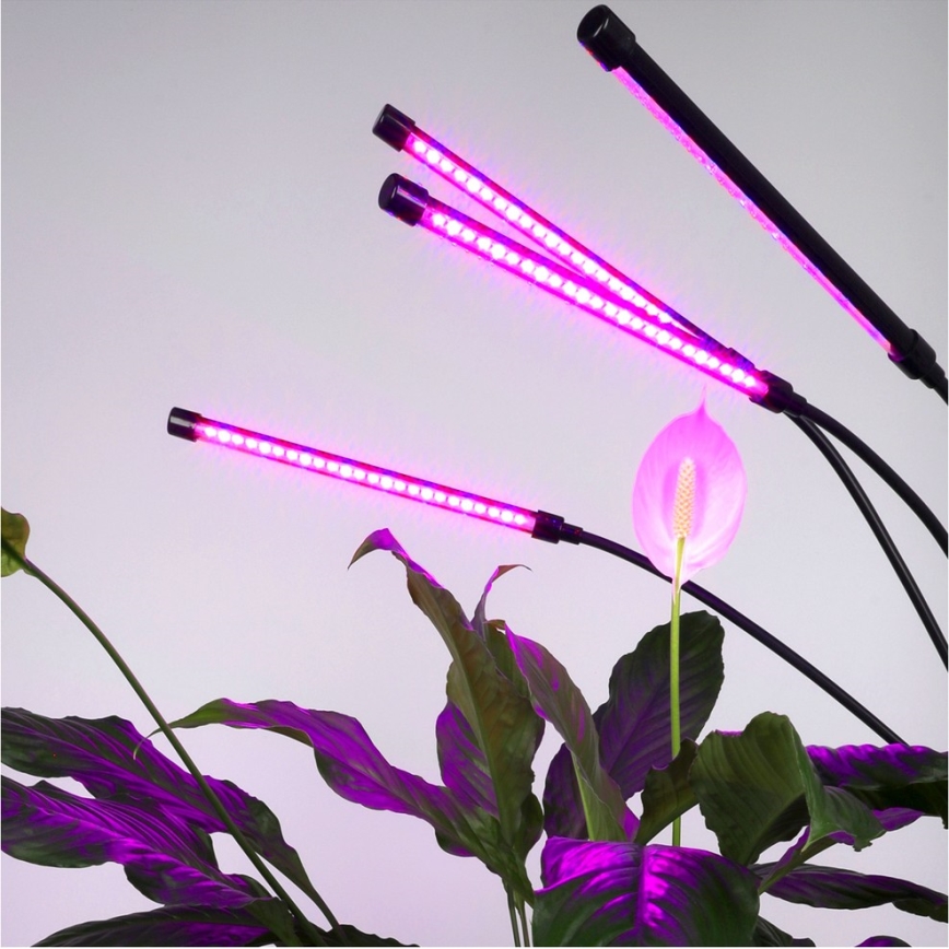 Brilagi - LED Zatemnitvena fleksibilna talna svetilka za gojenje rastlin VITABLOOM 4xLED/7,5W/230V črna