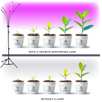 Brilagi - LED Zatemnitvena fleksibilna talna svetilka za gojenje rastlin VITABLOOM 4xLED/7,5W/230V črna