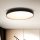 Brilagi - LED Zatemnitvena stropna svetilka CALA LED/48W/230V 3000-6500K pr. 38 cm + Daljinski upravljalnik