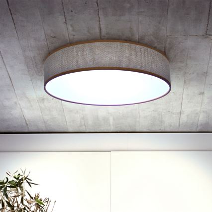 Brilagi - LED Zatemnitvena stropna svetilka CARMEN LED/48W/230V 3000-6500K pr. 40 cm + Daljinski upravljalnik