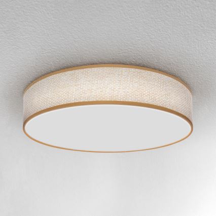 Brilagi - LED Zatemnitvena stropna svetilka CARMEN LED/48W/230V 3000-6500K pr. 40 cm + Daljinski upravljalnik