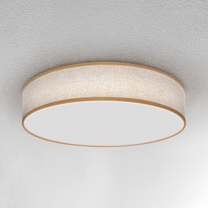 Brilagi - LED Zatemnitvena stropna svetilka CARMEN LED/48W/230V 3000-6500K pr. 40 cm + Daljinski upravljalnik