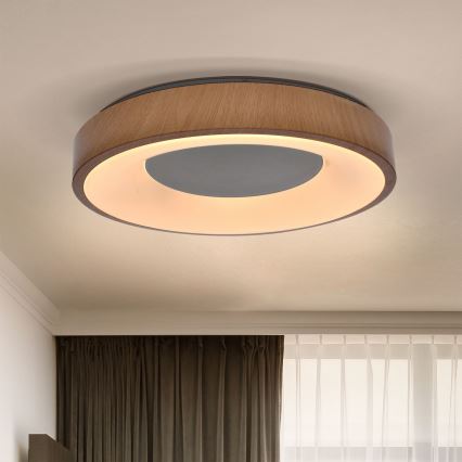Brilagi - LED Zatemnitvena stropna svetilka DORIA LED/48W/230V 3000-6500K pr. 39 cm + Daljinski upravljalnik