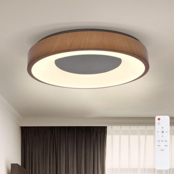Brilagi - LED Zatemnitvena stropna svetilka DORIA LED/48W/230V 3000-6500K pr. 39 cm + Daljinski upravljalnik