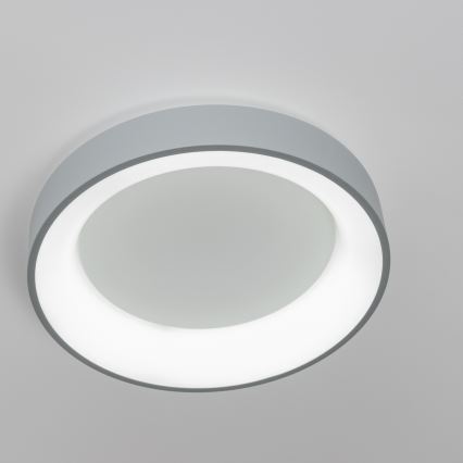 Brilagi - LED Zatemnitvena stropna svetilka FALCON LED/80W/230V 3000-6500K siva + Daljinski upravljalnik