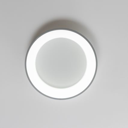 Brilagi - LED Zatemnitvena stropna svetilka FALCON LED/40W/230V 3000-6500K siva + Daljinski upravljalnik