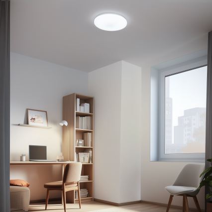 Brilagi - LED Zatemnitvena stropna svetilka OPAL LED/24W/230V  3000/4000/6500K + Daljinski upravljalnik