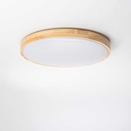 Brilagi - LED Zatemnitvena stropna svetilka PINE LED/24W/230V 3000-6500K + Daljinski upravljalnik