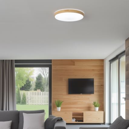Brilagi - LED Zatemnitvena stropna svetilka PINE LED/24W/230V 3000-6500K + Daljinski upravljalnik