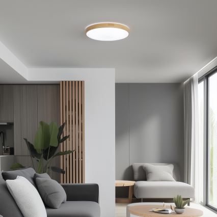Brilagi - LED Zatemnitvena stropna svetilka PINE LED/24W/230V 3000-6500K + Daljinski upravljalnik