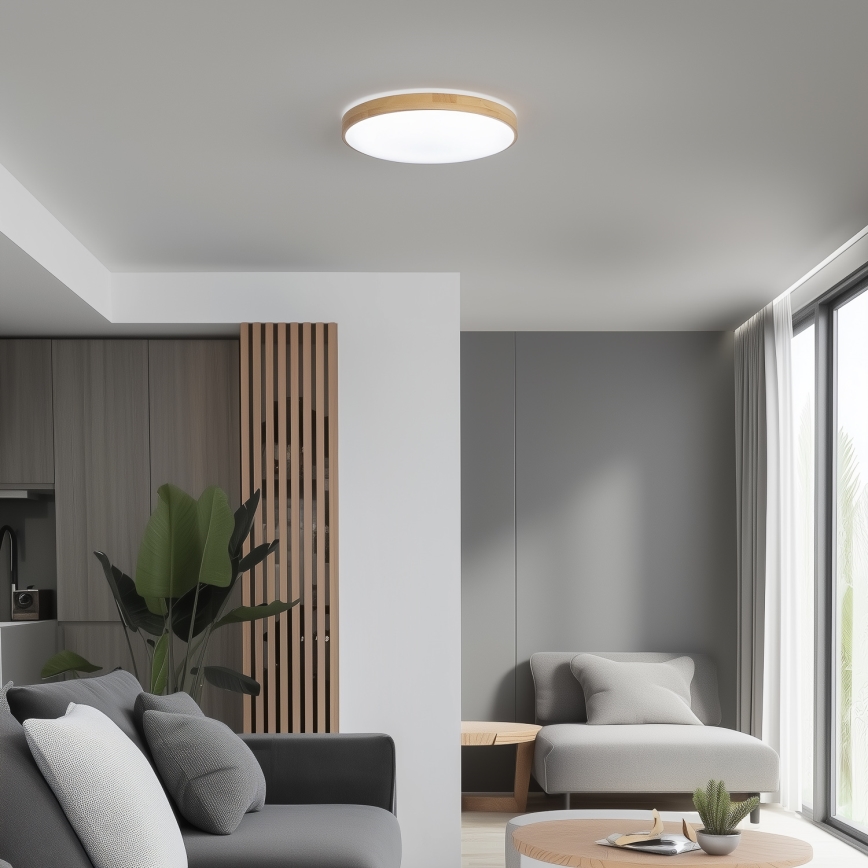 Brilagi - LED Zatemnitvena stropna svetilka PINE LED/24W/230V 3000-6500K + Daljinski upravljalnik
