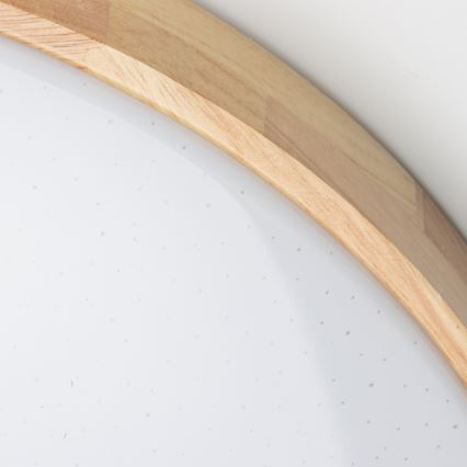 Brilagi - LED Zatemnitvena stropna svetilka PINE LED/24W/230V 3000-6500K + Daljinski upravljalnik