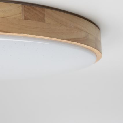 Brilagi - LED Zatemnitvena stropna svetilka PINE LED/24W/230V 3000-6500K + Daljinski upravljalnik