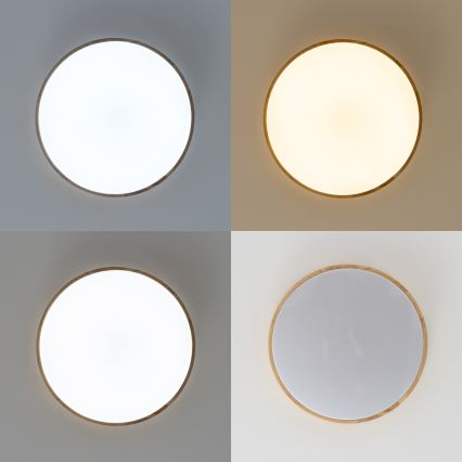 Brilagi - LED Zatemnitvena stropna svetilka PINE LED/24W/230V 3000-6500K + Daljinski upravljalnik