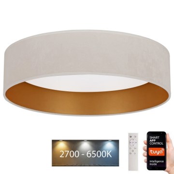 Brilagi - LED Zatemnitvena stropna svetilka VELVET SMART LED/24W/230V pr. 45 cm 2700-6500K Wi-Fi Tuya + Daljinski upravljalnik