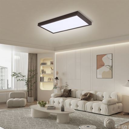 Brilagi - LED Kopalniška zatemnitvena stropna svetilka FRAME SMART LED/30W/230V 30x60 cm 3000-6000K  IP44 črna  + Daljinski upravljalnik