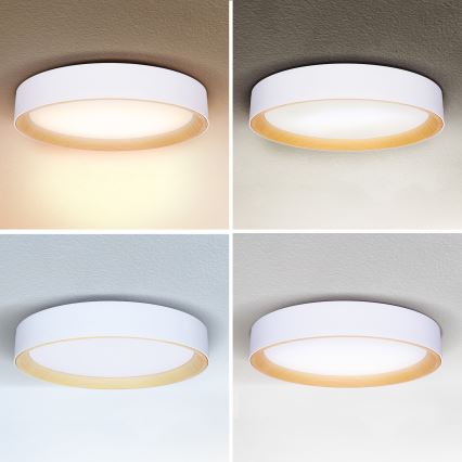 Brilagi - LED Zatemnitvena stropna svetilka LARIOS LED/60W/230V 3000-6500K ø 49 cm bela + Daljinski upravljalnik