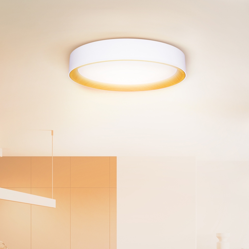 Brilagi - LED Zatemnitvena stropna svetilka LARIOS LED/60W/230V 3000-6500K ø 49 cm bela + Daljinski upravljalnik