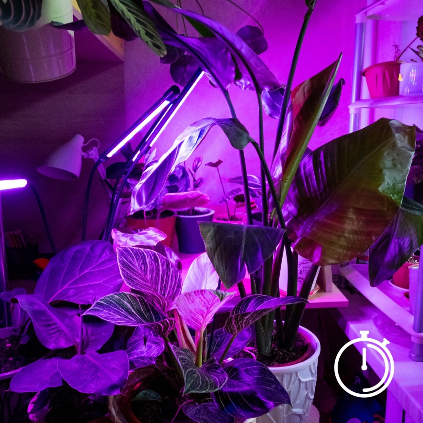 Brilagi - LED Zatemnitvena fleksibilna namizna svetilka s sponko za gojenje rastlin VITABLOOM 3xLED/10W/230V črna