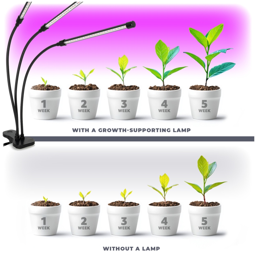 Brilagi - LED Zatemnitvena fleksibilna namizna svetilka s sponko za gojenje rastlin VITABLOOM 3xLED/10W/230V črna