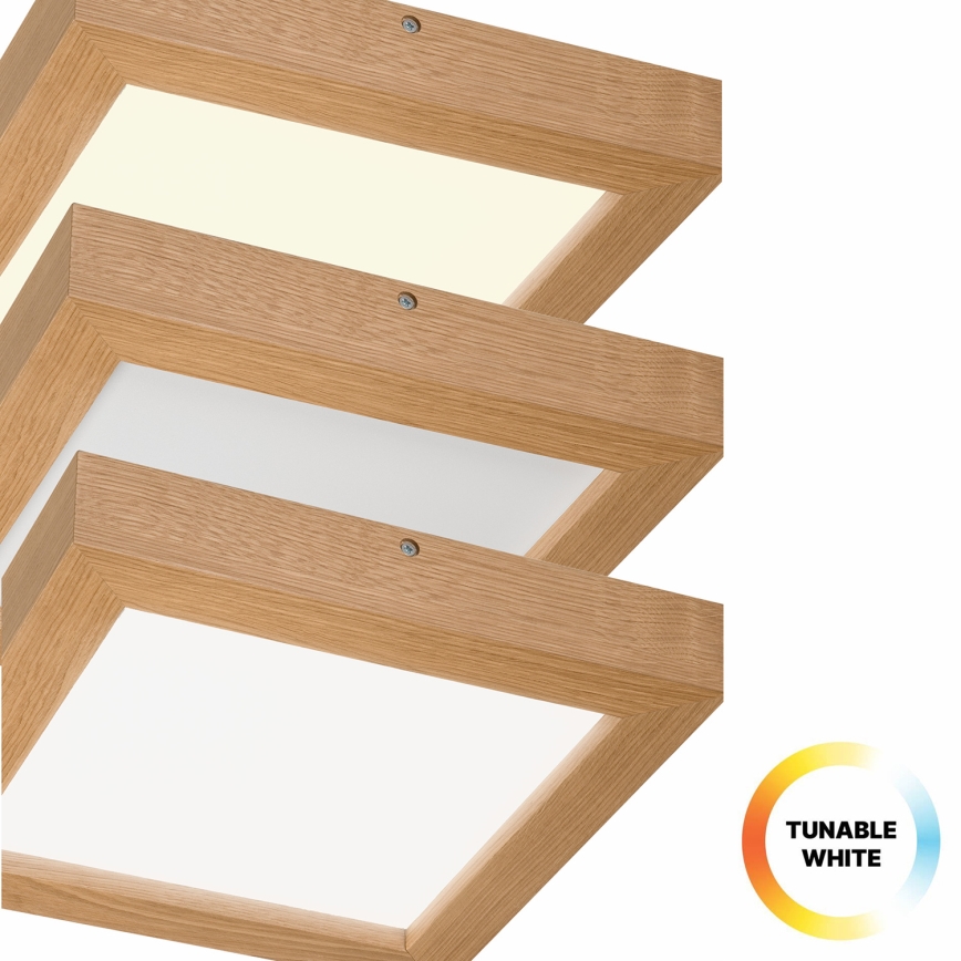 Brilagi - LED Kopalniška zatemnitvena stropna svetilka WOODY FRAME LED/24W/230V hrast 30x30 cm 3000-6000K IP44 + Daljinski upravljalnik