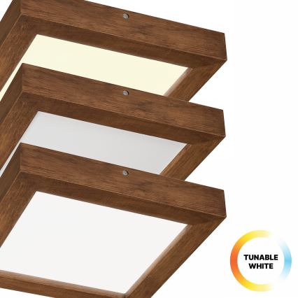 Brilagi - LED Kopalniška zatemnitvena stropna svetilka WOODY FRAME LED/24W/230V hrast češnja 30x30 cm 3000-6000K IP44 + Daljinski upravljalnik