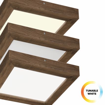Brilagi - LED Kopalniška zatemnitvena stropna svetilka WOODY FRAME LED/24W/230V hrast 30x30 cm 3000-6000K IP44 + Daljinski upravljalnik