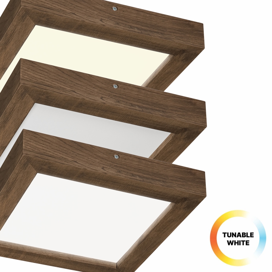 Brilagi - LED Kopalniška zatemnitvena stropna svetilka WOODY FRAME LED/24W/230V hrast 30x30 cm 3000-6000K IP44 + Daljinski upravljalnik