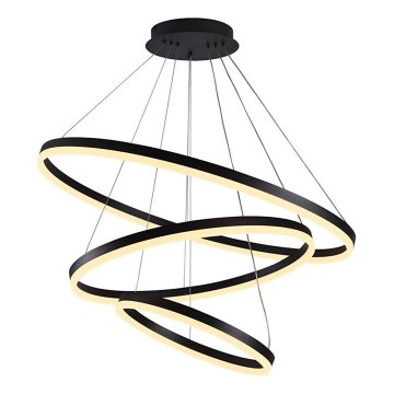 Brilagi - LED Zatemnitveni lestenec na vrvici CIRCLE LED/125W/230V 3000-6500K črna + Daljinski upravljalnik