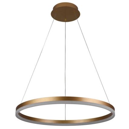 Brilagi - LED Zatemnitveni lestenec na vrvici CIRCLE LED/42W/230V 3000-6500K + Daljinski upravljalnik